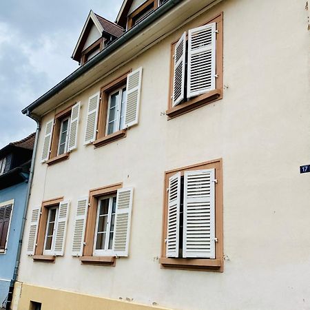 L'Envolee Alsacienne - Magnifique Appartement En Duplex Ostheim Exterior foto